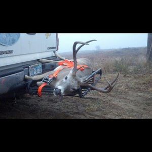 Meet your Posher, Sandy